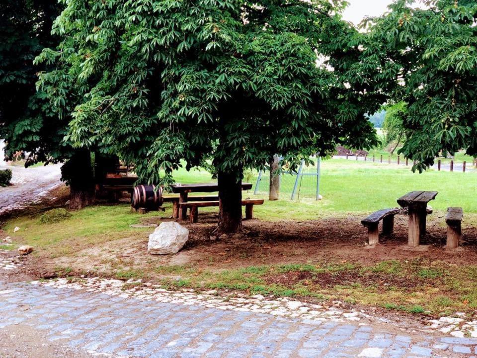 Apartman Nad Vinnym Sklepom Pouzdrany Dış mekan fotoğraf